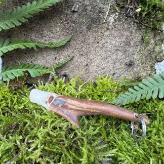 Hundepfeife aus Rehgehörn-Spitze